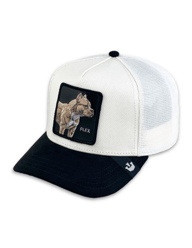 Gorra Goorin Bros Suede Pitbull Crema