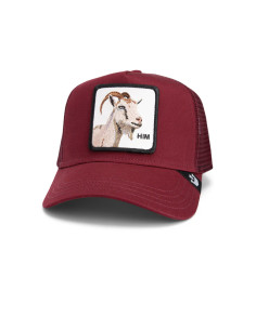 Gorra Goorin HIMOTHY