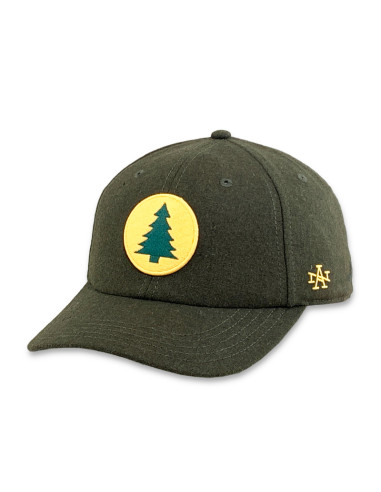 Gorra American Needle MAINE CENTRAL