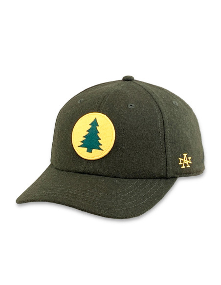 Gorra American Needle MAINE CENTRAL