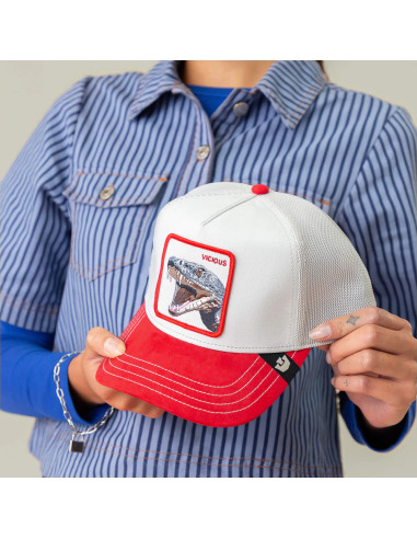 Gorra Goorin SUEDE SNAKE