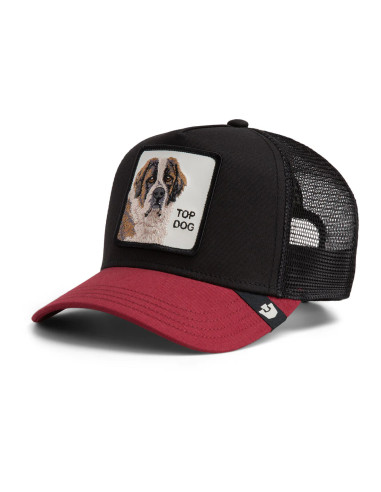Gorra Goorin The Top Dog